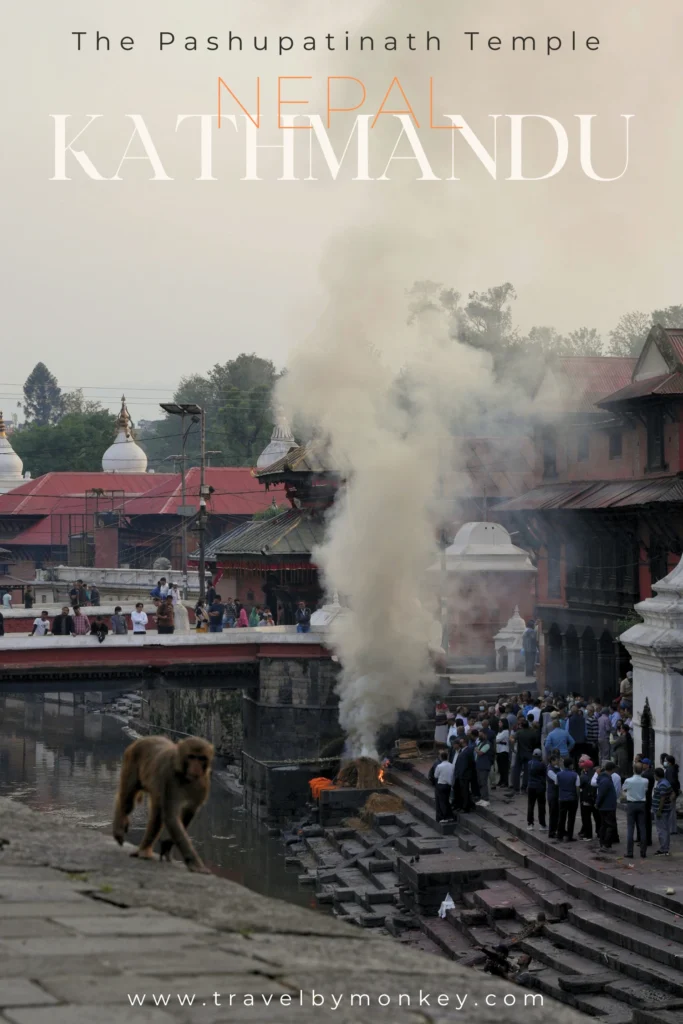 Katmandu: Co Zobaczyć w Stolicy Nepalu? 4 Najlepsze Atrakcje + Gdzie Spać Grafika Pinterest (Pin) Widok na kremację nad rzeką Bagmati w świątyni Pashupatinath w Katmandu, Nepal. Dym unosi się nad płonącym stosie pogrzebowym, wokół którego zgromadzeni są ludzie. Na pierwszym planie widać małpę spacerującą po murku.