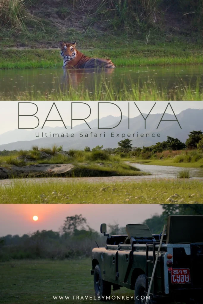 Park Narodowy Bardia czyli Tygrysy w Nepalu - Jak Zorganizować Safari? Tygrys bengalski w Parku Narodowym Bardia w Nepalu – safari jeepem, krajobrazy dżungli i stary Land Rover o zachodzie słońca niezapomniane safari w Nepalu - kompletny przewodnik