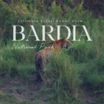 Tygrys bengalski spacerujący wzdłuż rzeki w Parku Narodowym Bardia w Nepalu. To jedno z najlepszych miejsc na safari w Nepalu, oferujące dziką przyrodę z dala od Himalajów i tłumów turystów. Na zdjęciu okładka przewodnika „Bardia National Park – Nepal Safari Guide” z bloga Travel by Monkey, który podpowiada, jak zorganizować safari, kiedy jechać i gdzie spać, by zwiększyć szanse na spotkanie tygrysa.