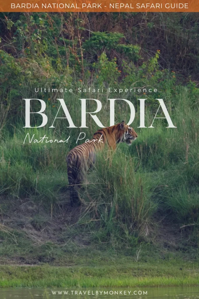 Park Narodowy Bardia czyli Tygrysy w Nepalu - Jak Zorganizować Safari? Tygrys bengalski spacerujący wzdłuż rzeki w Parku Narodowym Bardia w Nepalu. To jedno z najlepszych miejsc na safari w Nepalu, oferujące dziką przyrodę z dala od Himalajów i tłumów turystów. Na zdjęciu okładka przewodnika „Bardia National Park – Nepal Safari Guide” z bloga Travel by Monkey, który podpowiada, jak zorganizować safari, kiedy jechać i gdzie spać, by zwiększyć szanse na spotkanie tygrysa.